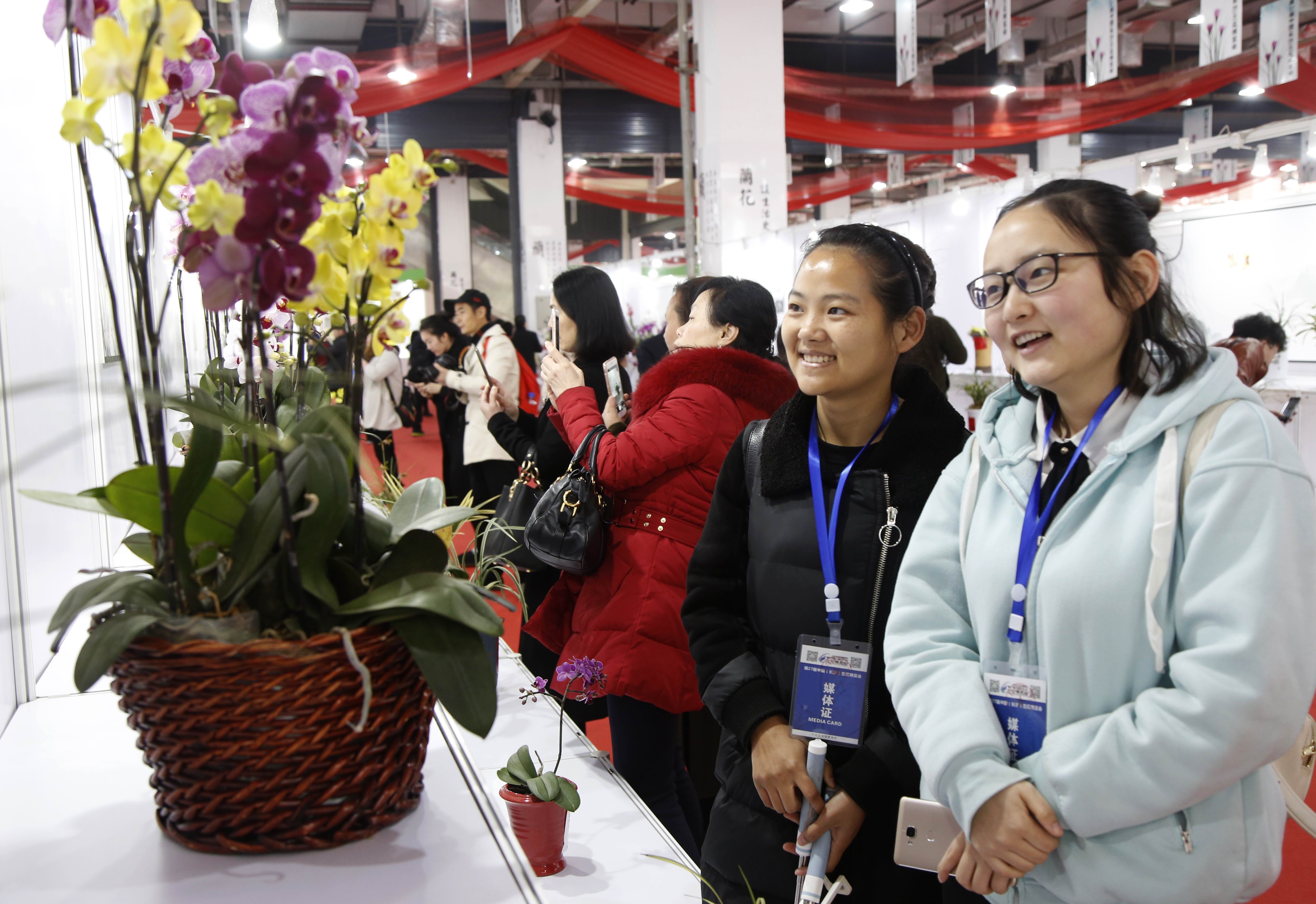 长沙康多多医药,康多多医药代购项目招商会