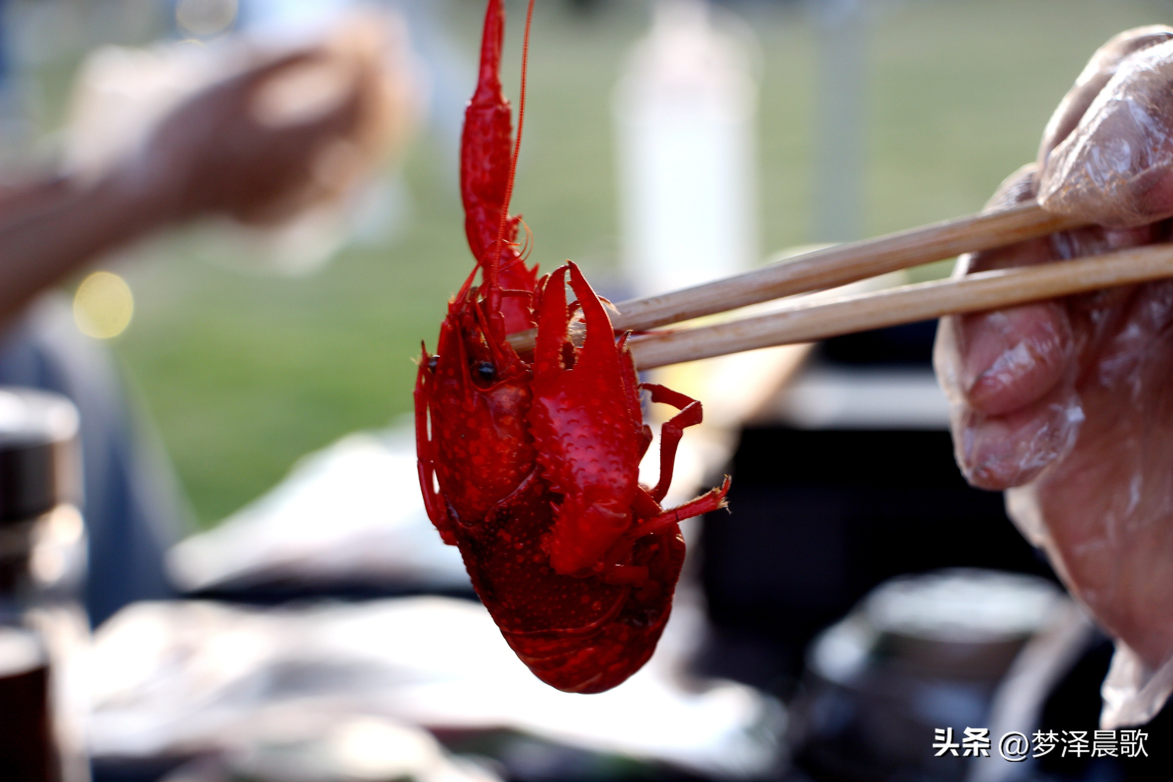 节日哪里去？醉美“伍湖四海”游人醉