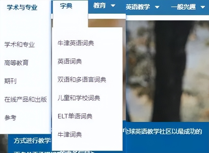 权威翻译网站排名前十,世界上最精准的翻译网站