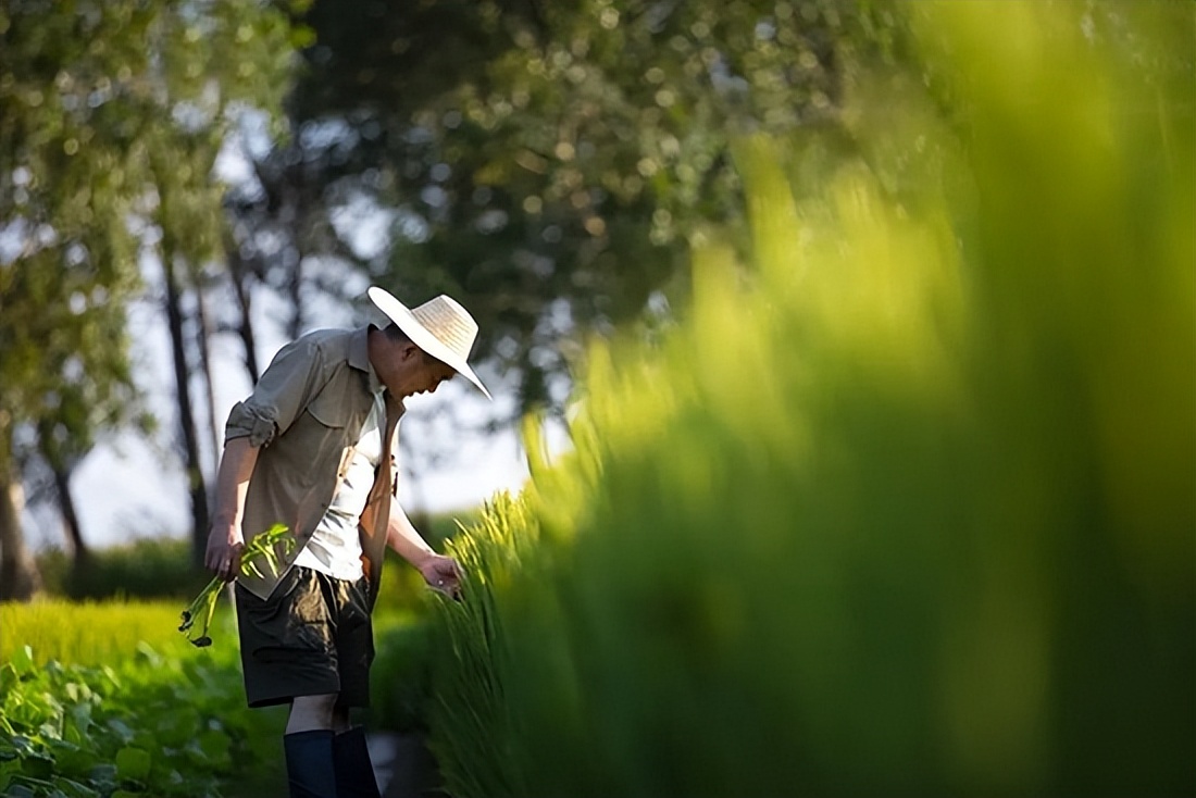 俞敏洪谈抖音平台,俞敏洪抖音视频