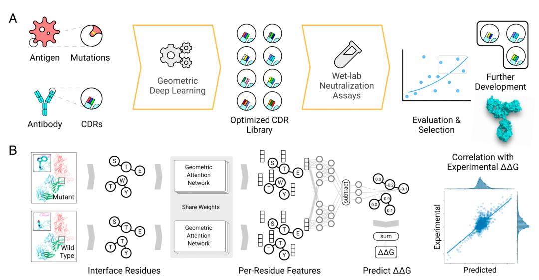 alphafold2,alphafold2.0技术细节