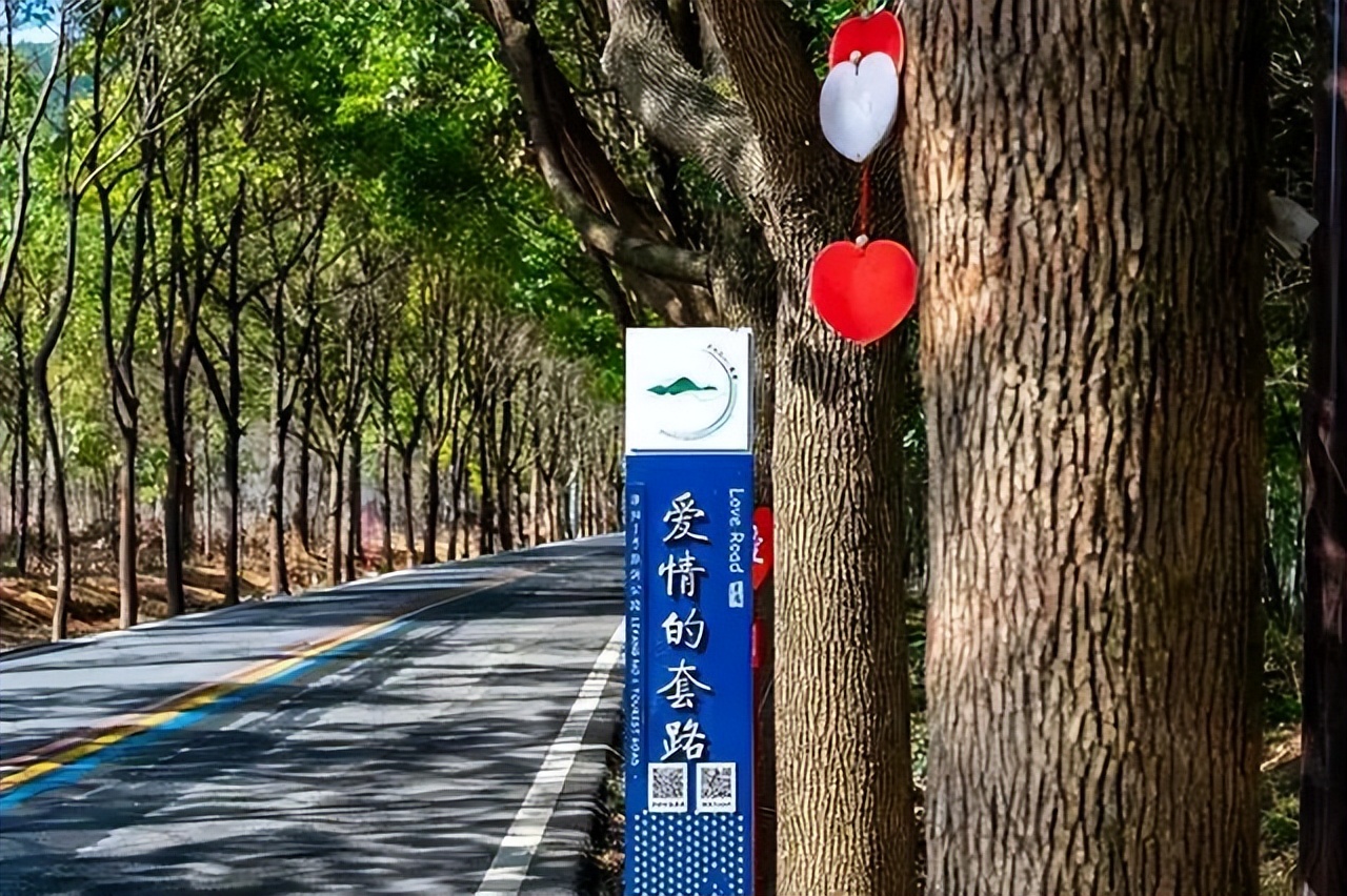 南山竹海御水温泉竹溪谷酒店,御水温泉竹溪谷酒店赏竹