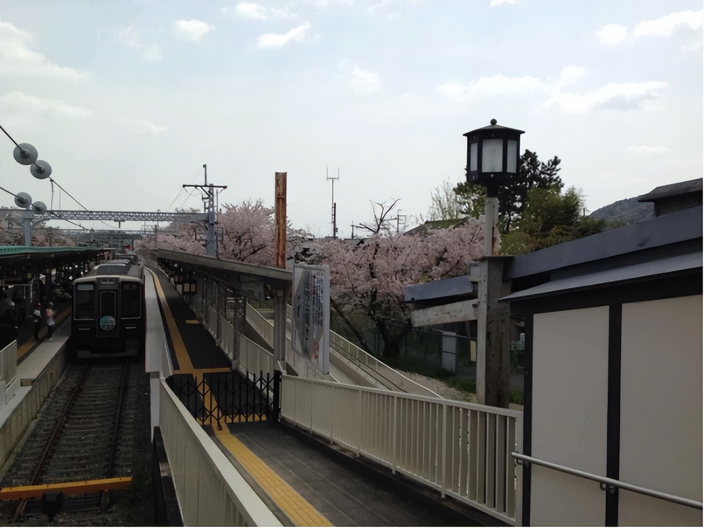 涓浗鐧惧瑙傜偣,鐧惧瑙傜偣