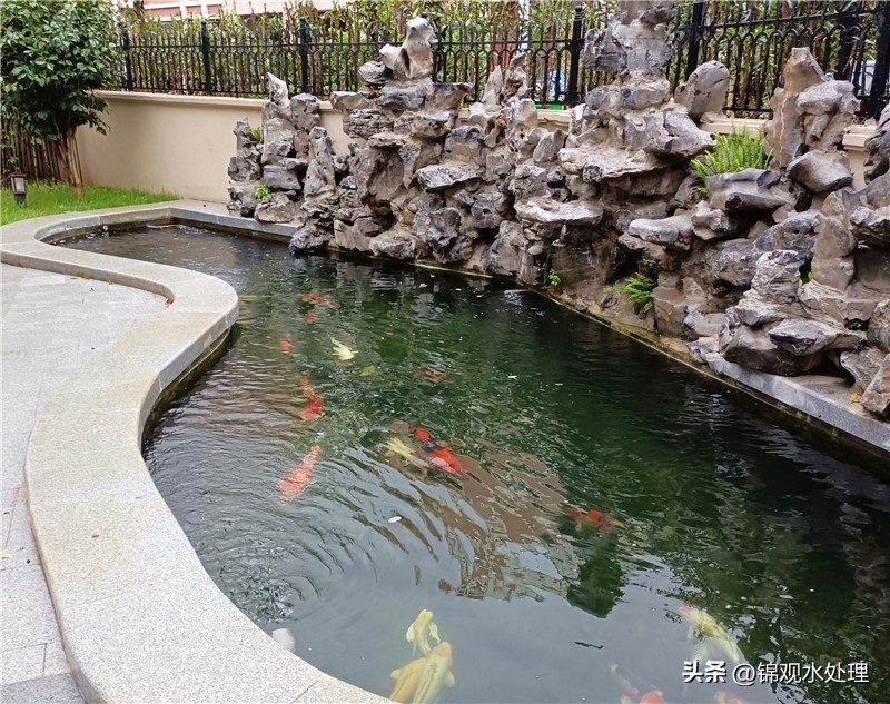 姜堰区锦鲤鱼池过滤仓施工,锦鲤鱼池过滤材料摆放顺序