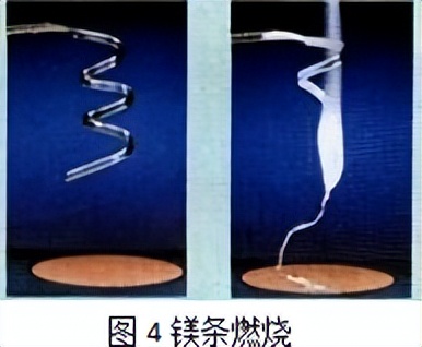 科学知识大全小学生必背,科学知识大全全集