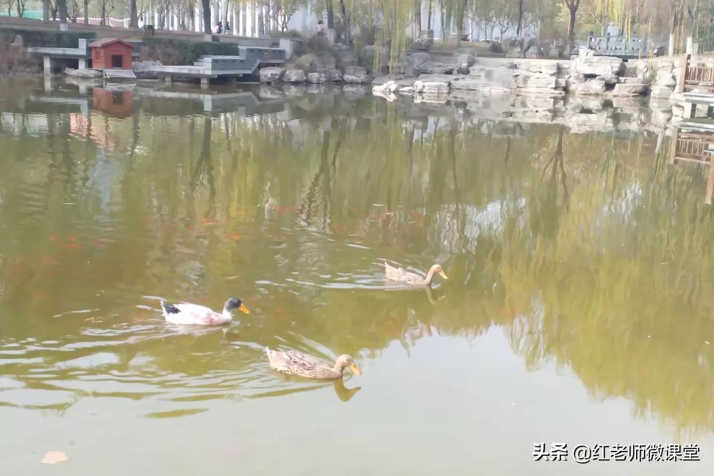 作文有一束光照亮我的世界600字,那一束光照亮我的世界作文600字