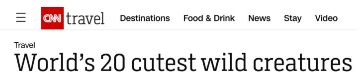 亚洲最萌动物大熊猫,国外评最可爱动物大熊猫排第三