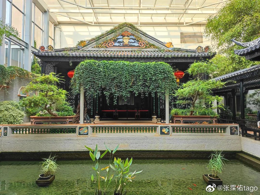 北京植物园的赏花的最好时节,西山秘境惊艳北京的植物