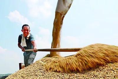 今日天气晴朗下一句怎么说,阴历五月十六下雨有啥说法