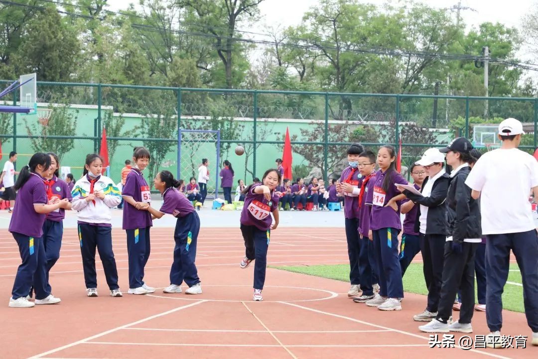校园竞技体育的魅力,校园青春比赛