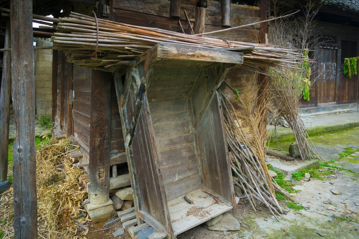 门口不栽五种树,家运衰败的十大征兆