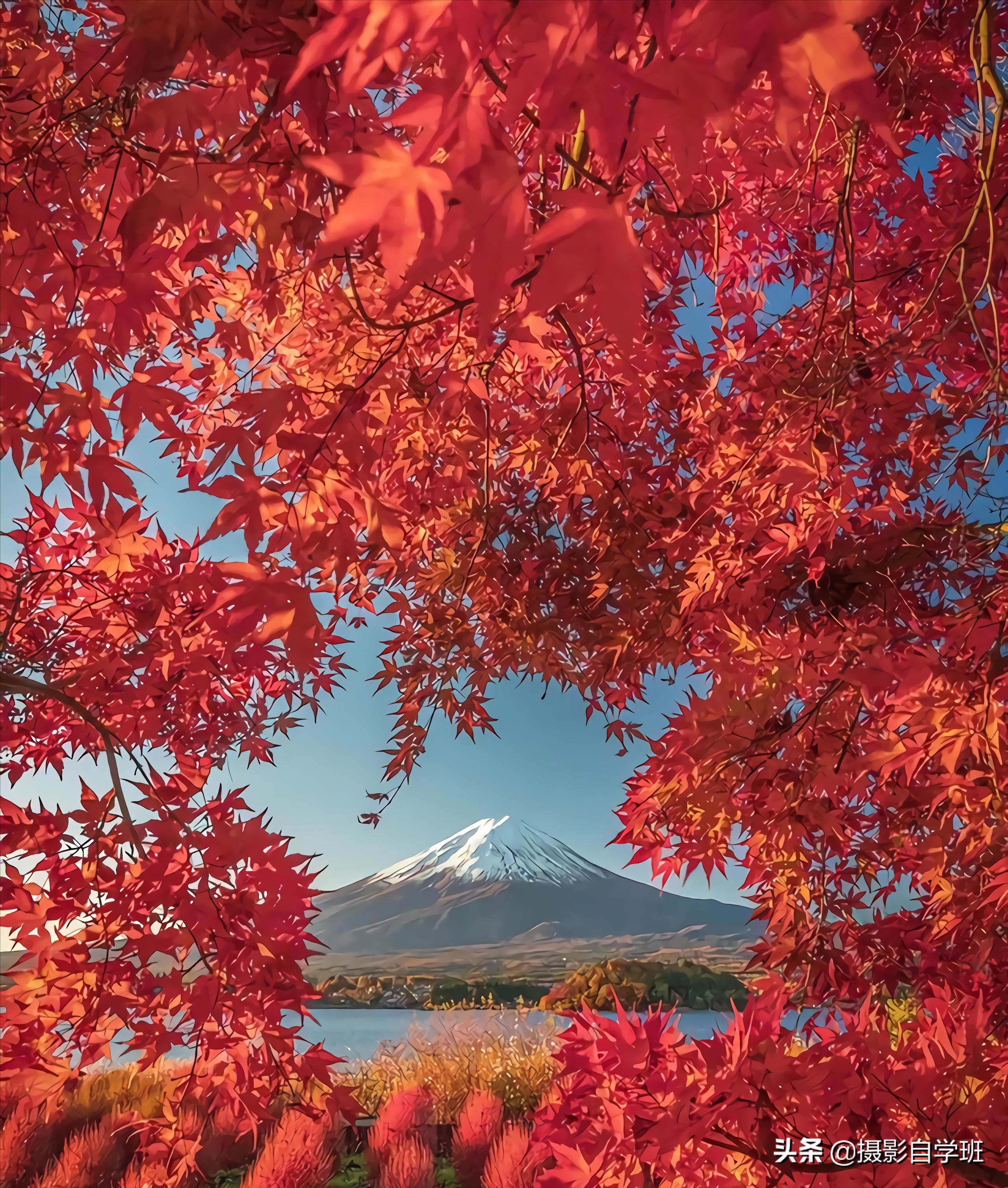 摄影入门教你轻松拍大片,摄影初学学会这几招就能拍美照