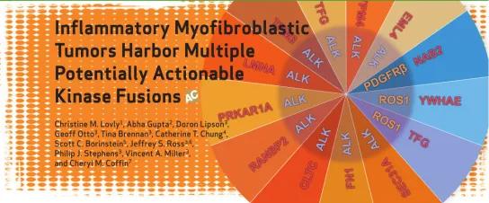 中间型肌纤维母细胞瘤,小孩炎症性肌纤维母细胞瘤