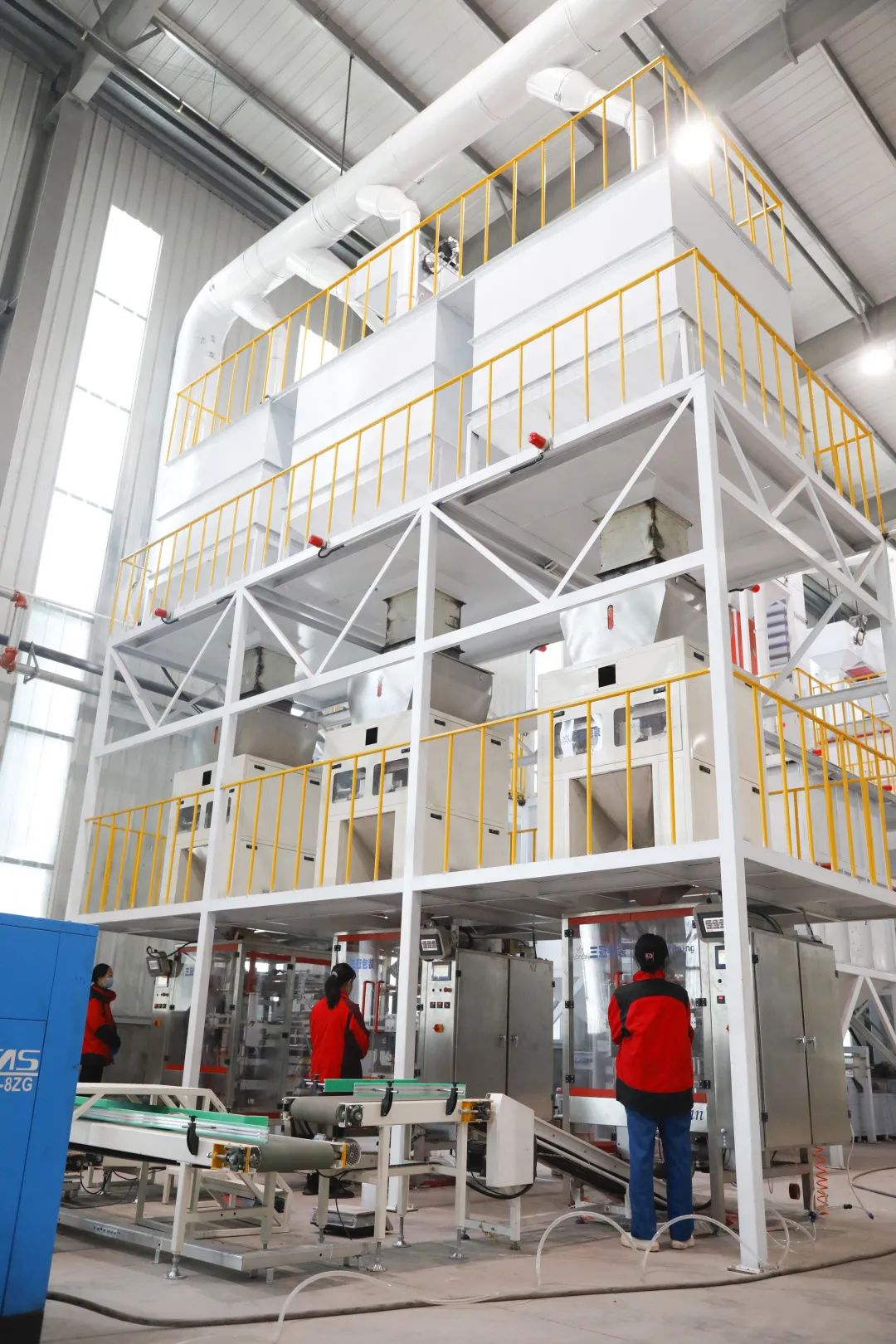 干出项目“加速度”，打造邯郸肥乡“种业高地”