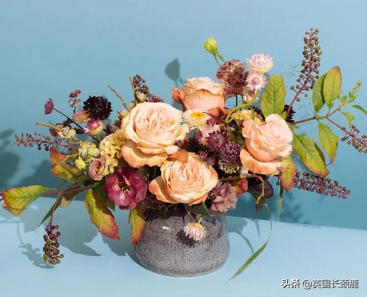 全英线上订花攻略:情人节限定fafa~爱你的心用花表示!