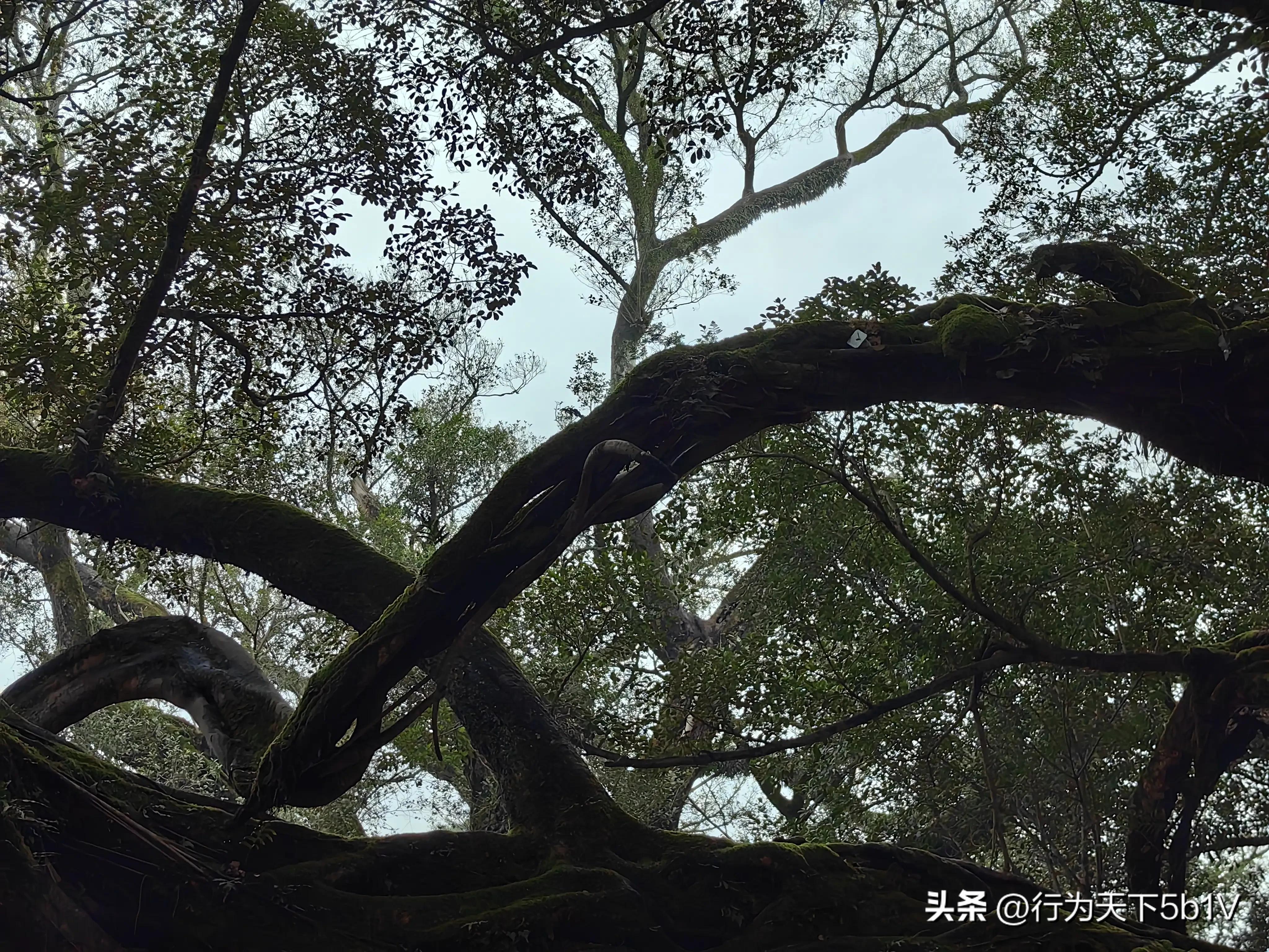 【平乐十里画廊鬼斧神工伟人石像】穿越唐*平宋**乐榕津千年古镇！