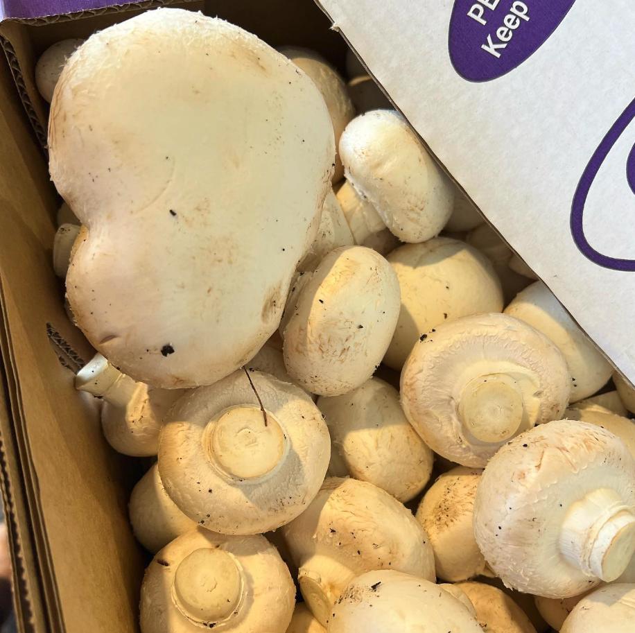 长得丑被抛弃,长得丑被人抛弃