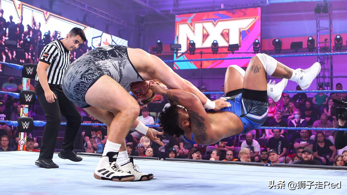 wwe第1163期完整版,wwenxt667期最新赛事