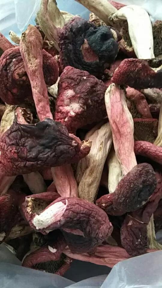 云南野生红菇做法,云南野生红菇种植