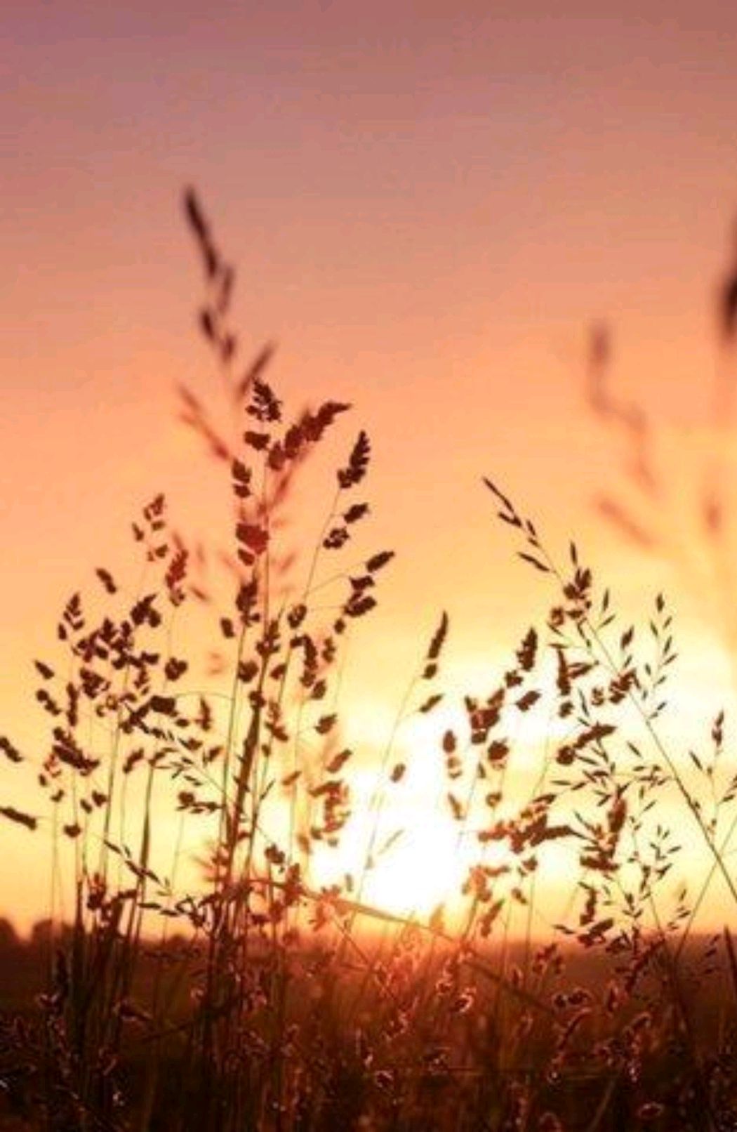 时光流逝蓦然回首散文,岁月微凉的经典散文