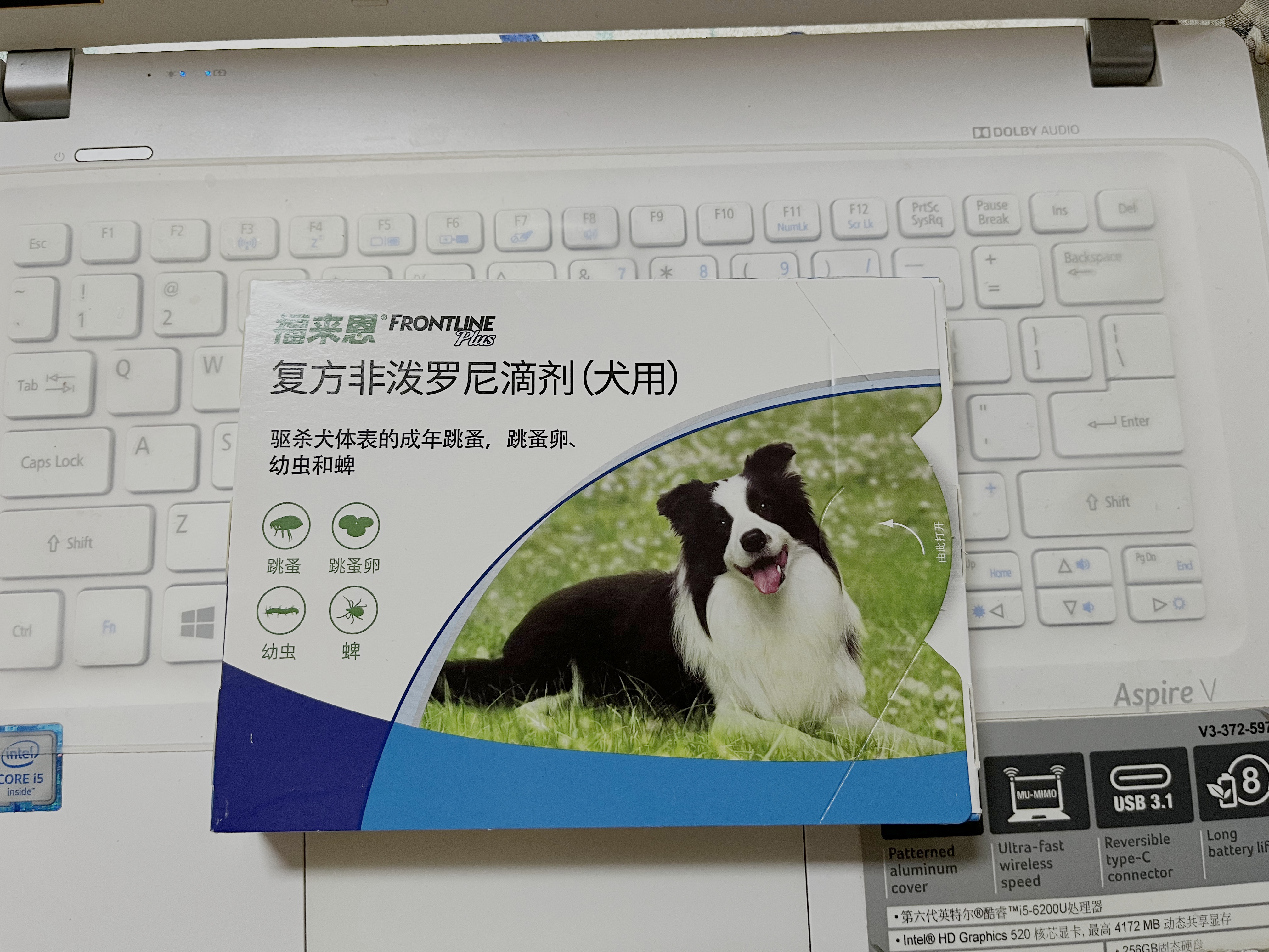 琐琐碎碎造句,琐琐碎碎生活滋味