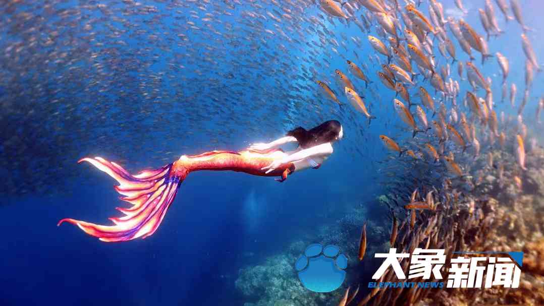 水下洛神何灏浩个人资料,潜水冠军何灏浩