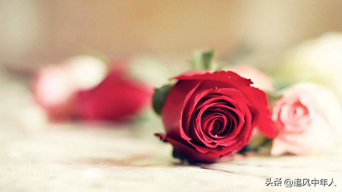 2023年情人节送礼清单:球鞋、投影仪、花束......