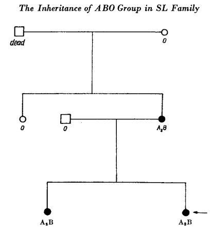 宝鸡发现一例稀有血型,陕西宝鸡18岁女孩罕见的血型