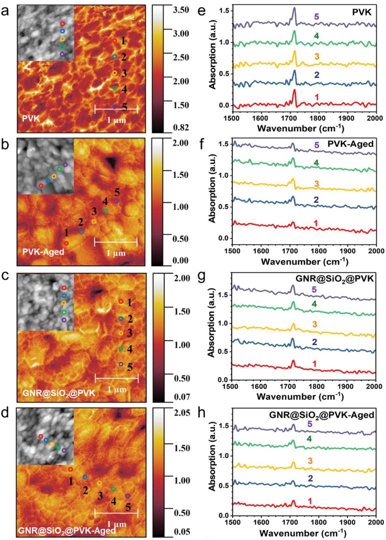 AEM--Plasmonic局域热效应实现应力调控