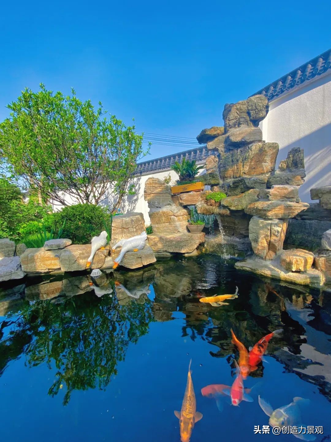 简单大气庭院鱼池设计,庭院设计鱼池的最佳方法