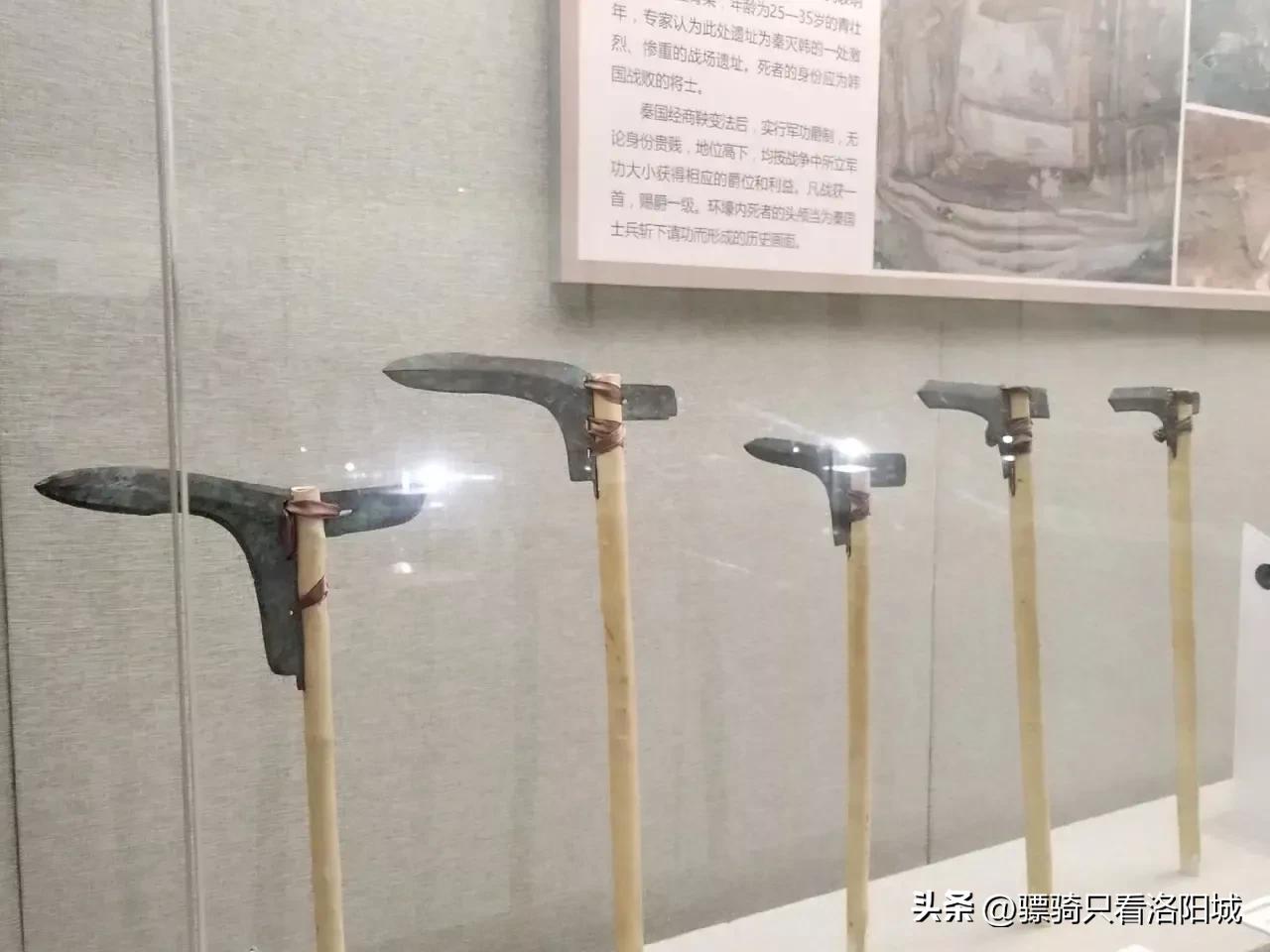 春秋五霸战国七雄都城在哪,春秋五霸战国七雄分布图