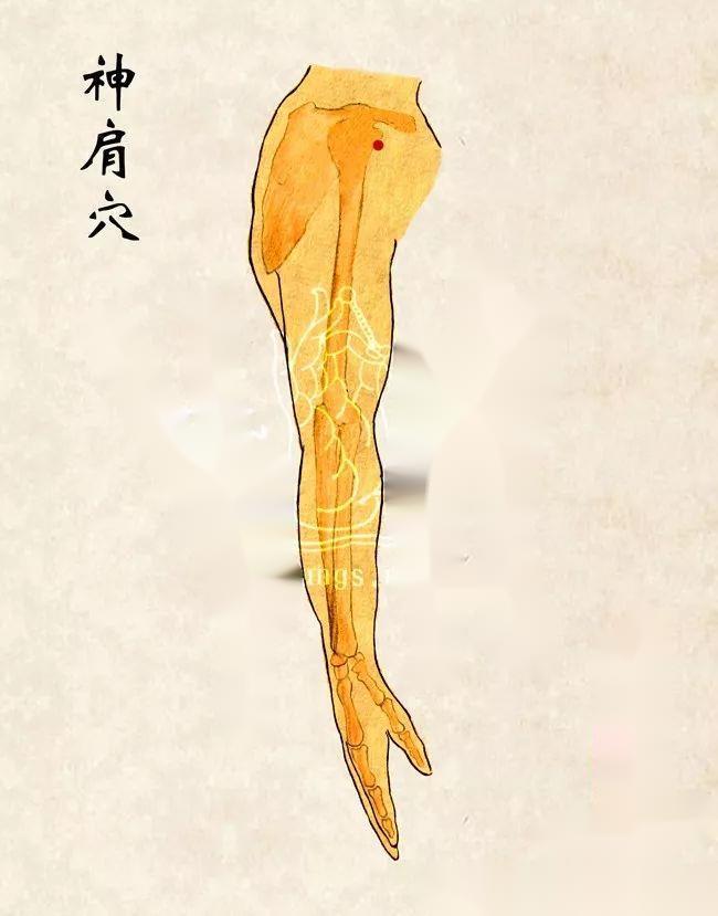 中医治小儿厌食针灸穴位,董氏针灸治疗帕金森处方