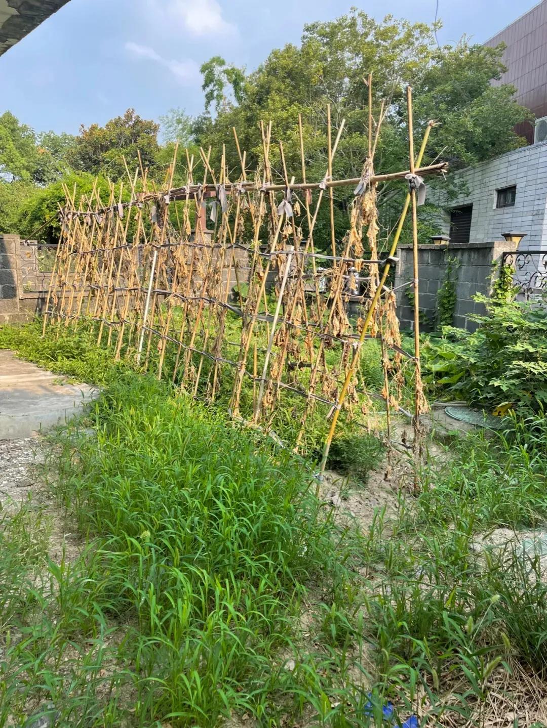 痛心的购房经历,嘉兴买房后悔的真实感受