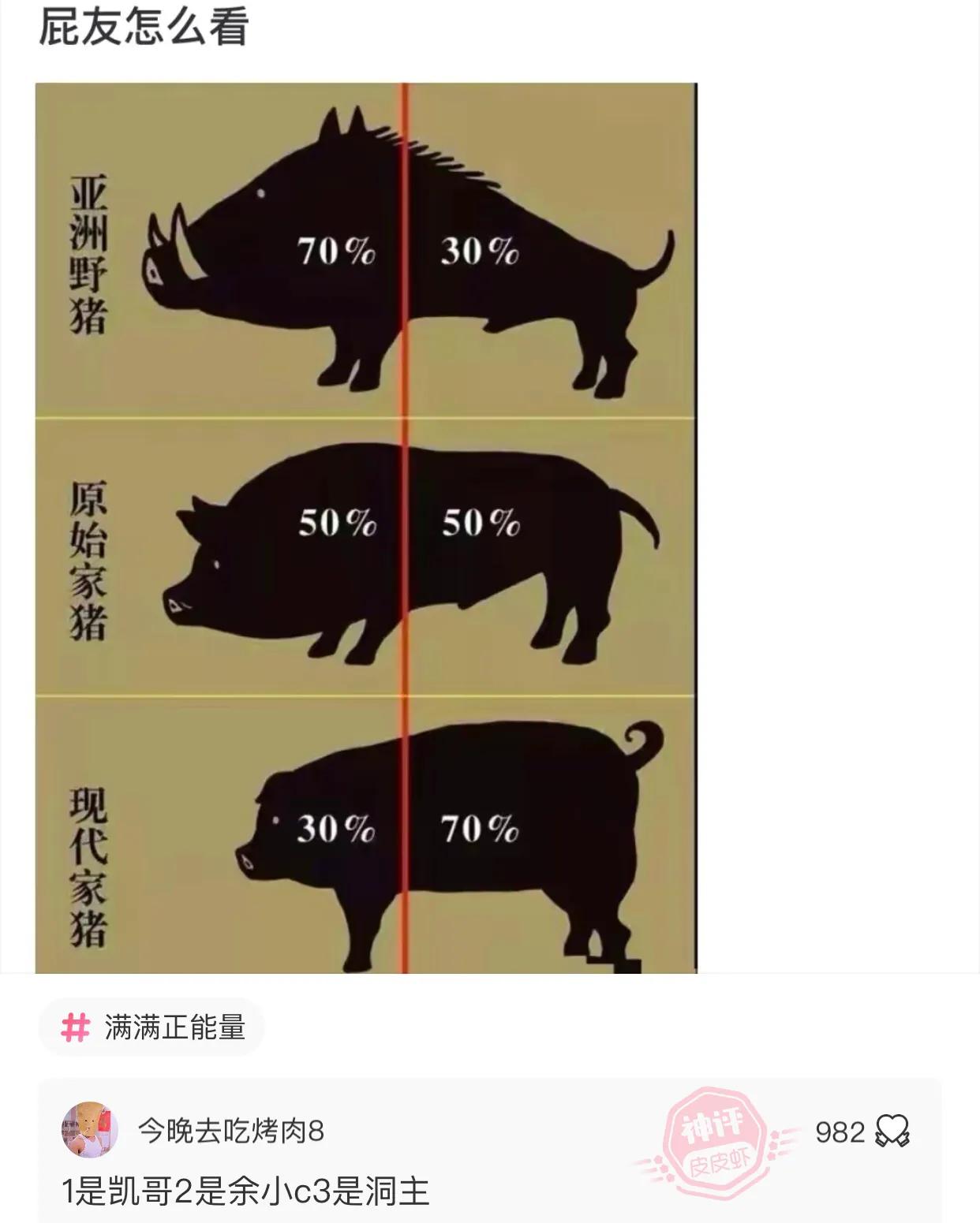 爆笑吐槽侮辱人的智商,盘点侮辱性极强的十大爆笑集锦