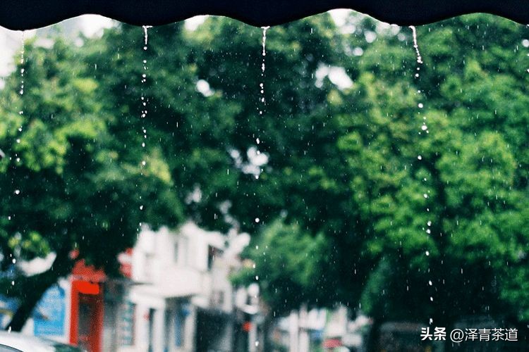 写春天的著名唐诗宋词加赏析,十首描写春天的宋词