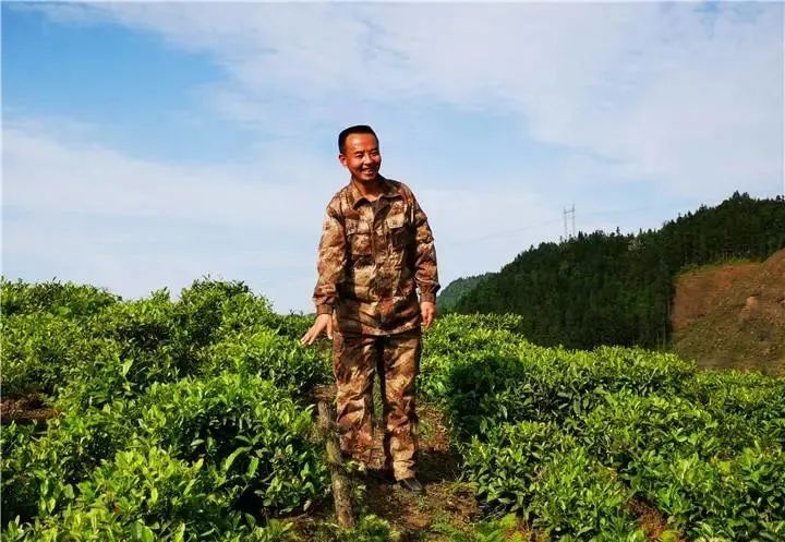 病退军人20万住房补贴发放文件,退役军人保障法有关住房补贴文件