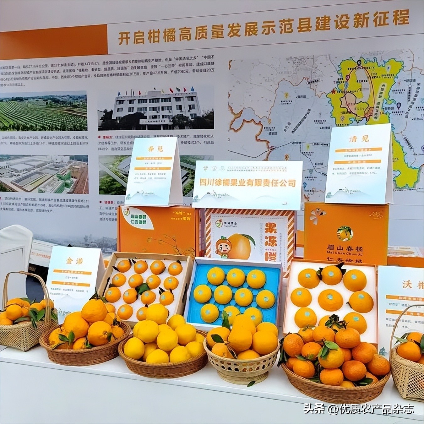 眉山春橘为什么行？