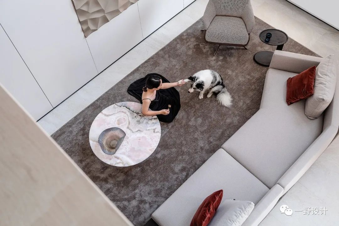 390的溪流缸养多少条斑马,390m