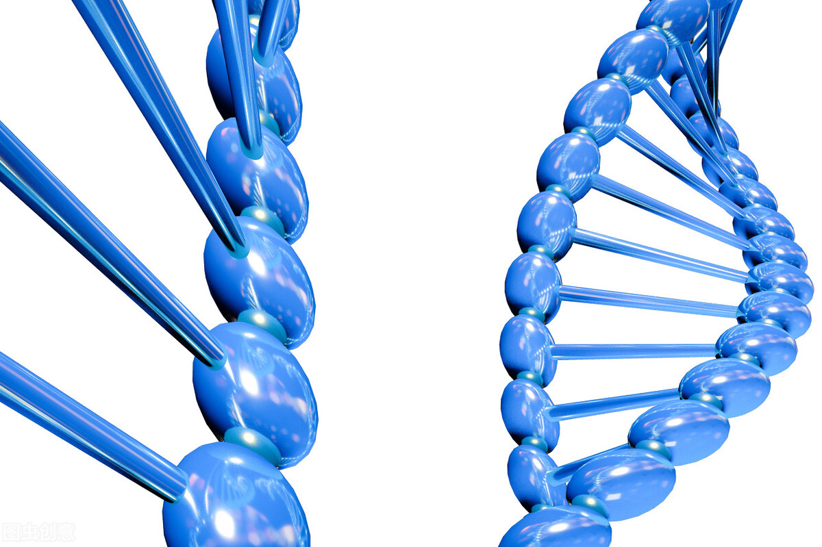 基因递送系统,基因递送载体