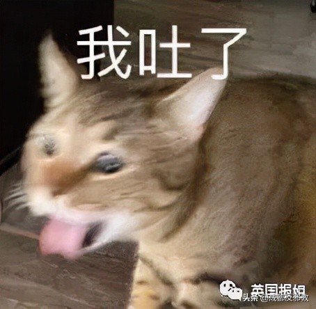 懵了！美国家长想和亲生孩子结婚，推*伦乱**合法化，竟然还有支持者？