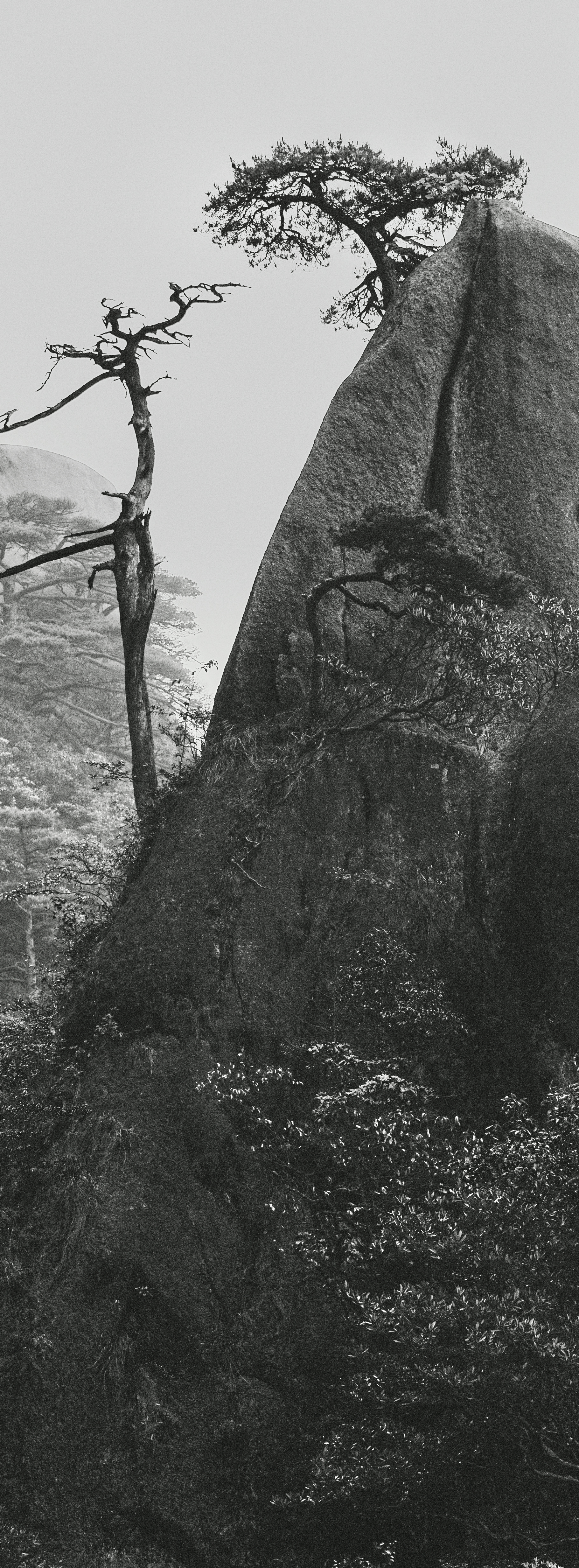 千山雪摄影作品欣赏,著名风景摄影作品赏析