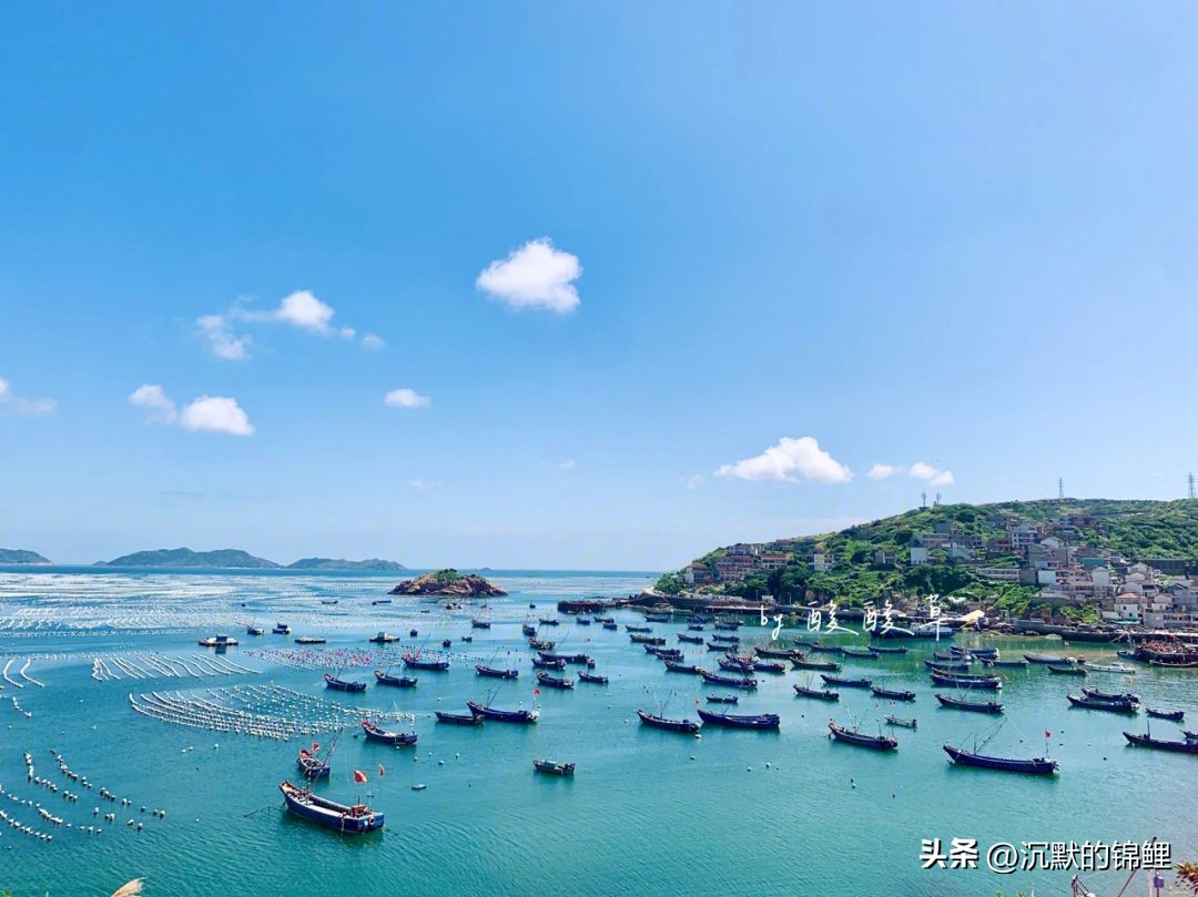 夏天枸杞岛旅游攻略 (枸杞岛  花鸟岛   嵊泗列岛)