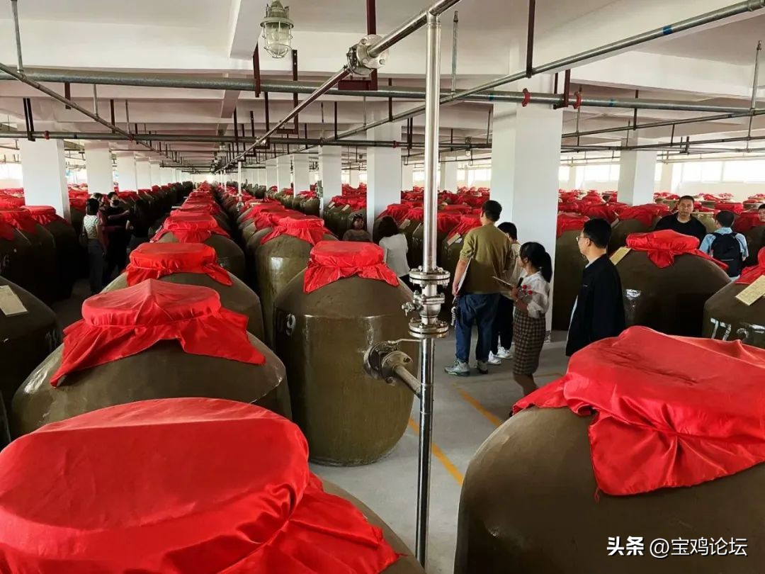 宝鸡：“一滴太白酒，十里草木香“走进太白酒厂！