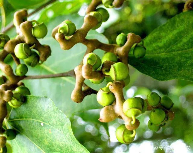 人生苦短生活不易看淡看开,人生不易岁月苦短这就是生活