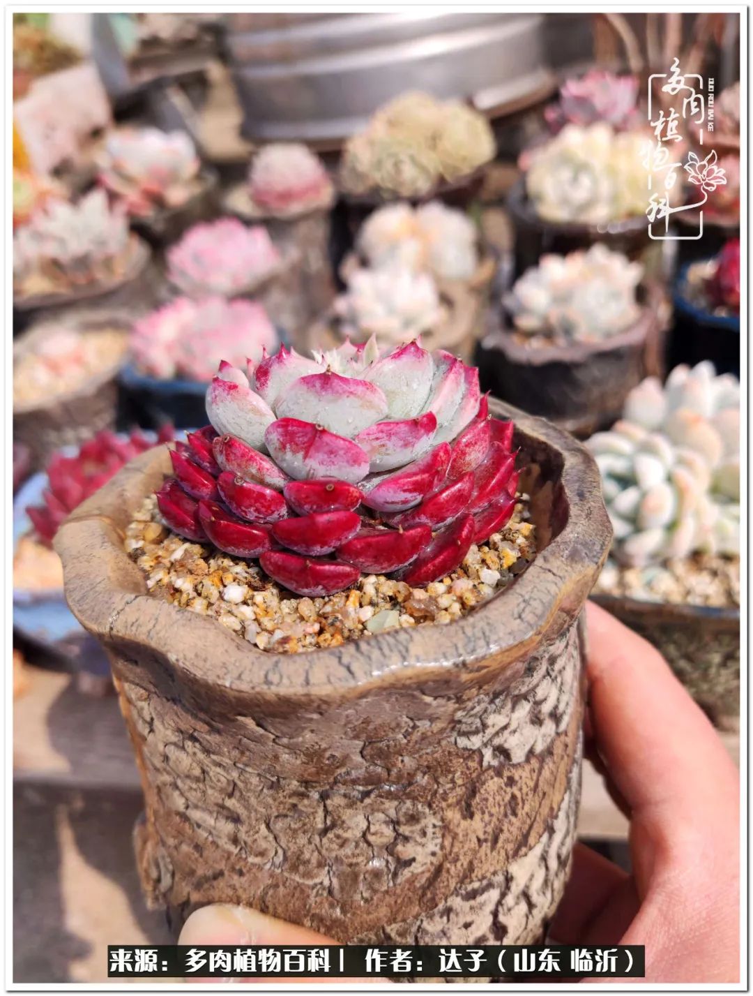 活在当下珍惜眼前平凡的生活,活在当下感慨万千