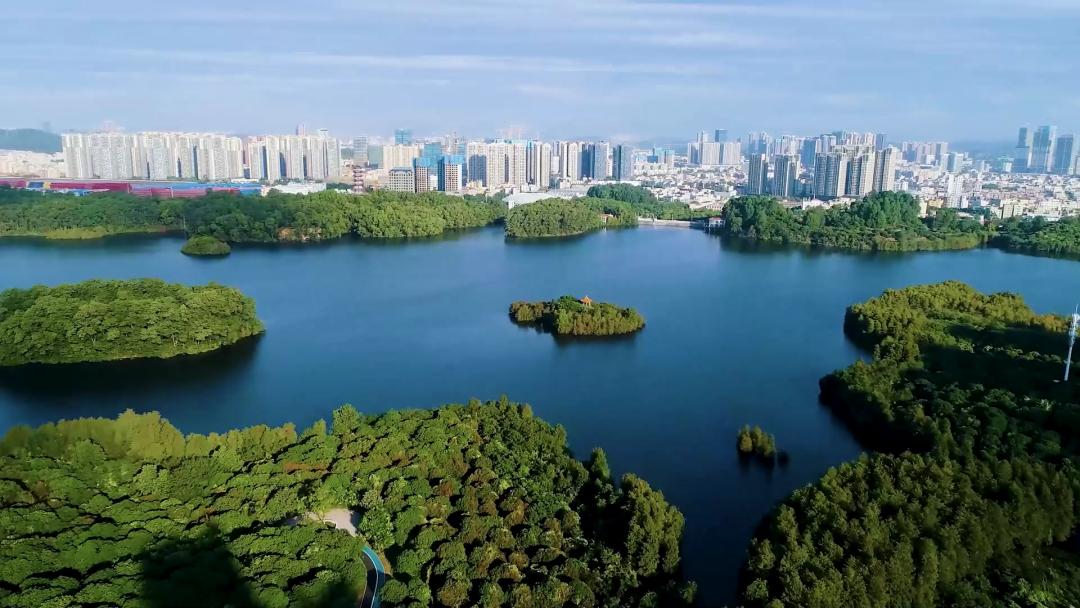 深圳坪山2022年gdp增长率,坪山区地区生产总值增长