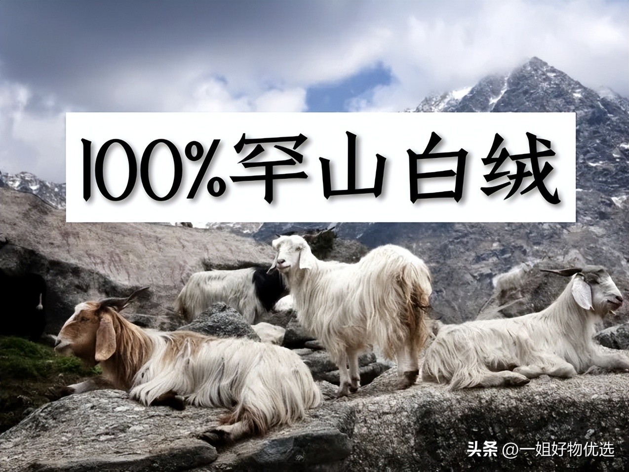 围巾比较好的牌子,男士围巾哪个牌子比较好