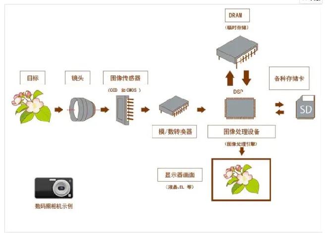 照相机摄影知识教学,摄影讲座单反照相机使用