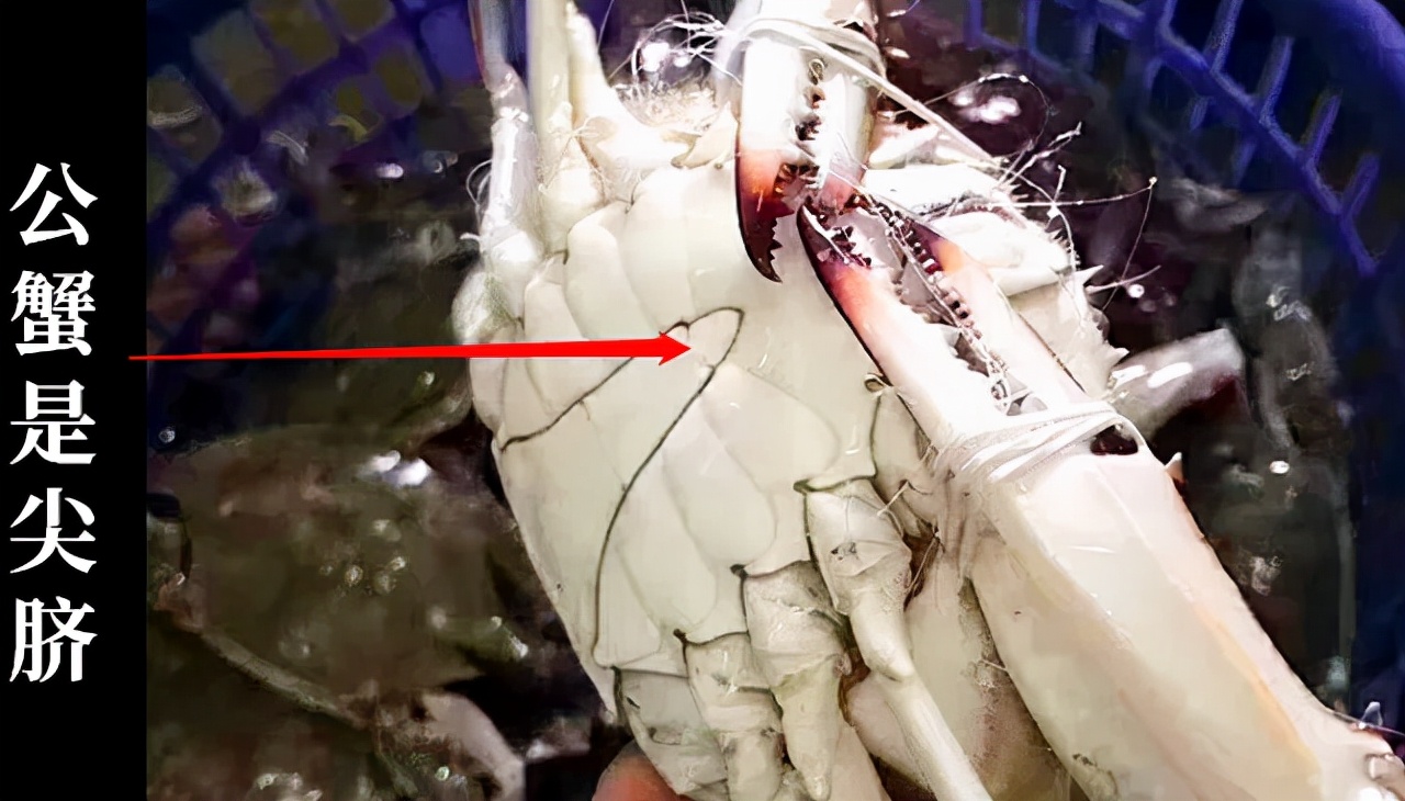 2022秦皇岛最强海鲜日历来了，年头吃到年尾不重样~