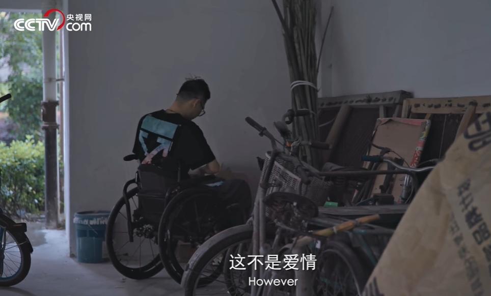 二舅全网刷屏,二舅全网热度